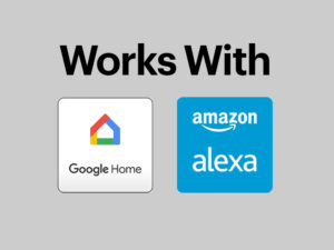 Support Google and Alexa
